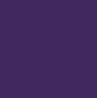 SEARK Purple